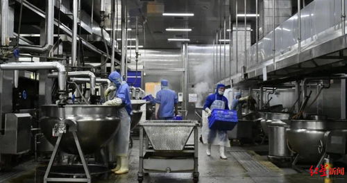 創新市場開拓新賽道 食品企業與電氣安裝服務的跨界融合